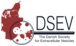 DSEV logo (Light theme)